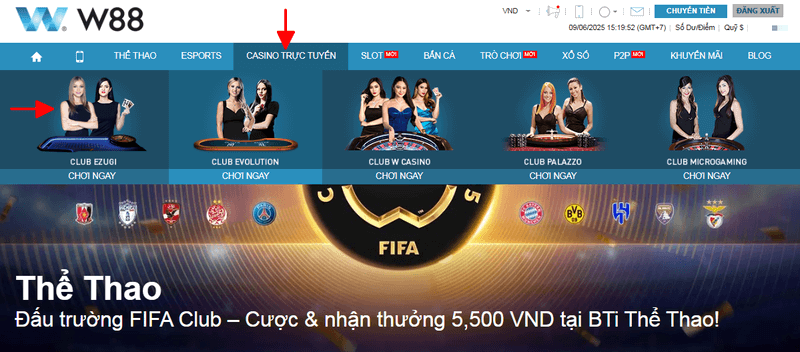 lựa chọn mục casino trực tuyến